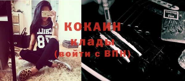шишки Алексин