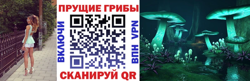 мега зеркало  Чехов  Псилоцибиновые грибы прущие грибы 